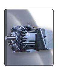 Toshiba Premium Efficiency Electric Motors 0.37kW to 1000kW